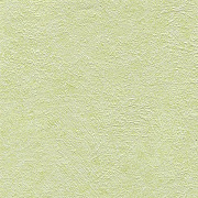 ВЕК 9202 панель ПВХ ламинация Орхидея светло-зелёная 9*250*2700 1/10